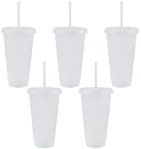 TSLBW 5 Pcs Reusable Plastic Cup Drinkware Tumblers Acrylic Cups Tumblers with Lids and Straws Plastic Bulk Iced Plastic Cold Water Tumblers Iced Coffee Cups Travel Mug Party Tumbler
