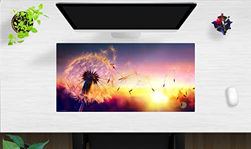 Schreibtischunterlage - Pusteblume im Sonnenlicht - aus premium Vinyl - in verschiedenen Größen - Made in Germany (80 x 40 cm)