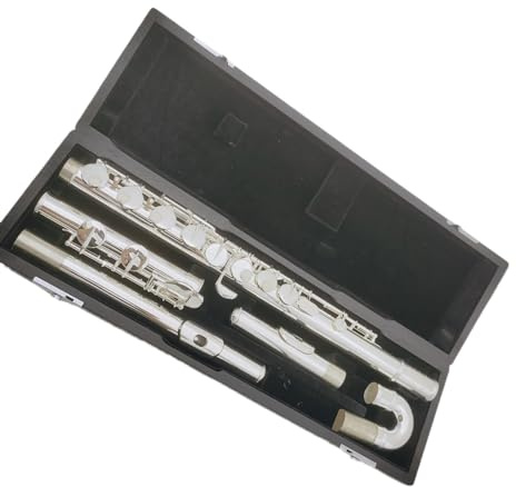 flöte Altflöte, 16 Geschlossene Tasten, Versilbertes Musikinstrument Mit Koffer