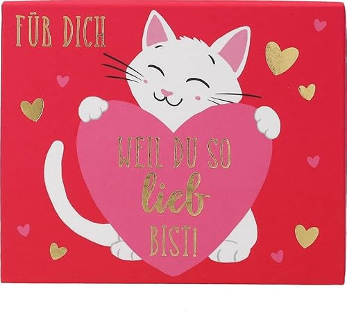 Depesche 10871-014 Wunscherfüller Soundbox zum Verschenken von Geld und Gutscheinen, mit Melodie und Geldbrief, ca. 11,2 x 9,5 x 3,5 cm