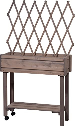 dobar® 58188e rollbares Hochbeet mit Rankgitter | Pflanzkasten auf Rollen | Blumenbeet aus Massiv-Holz | Schmales Kräuterbeet für Garten/Terrasse/Balkon | 79 x 28,5 x 130 cm | Grau