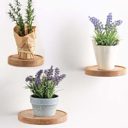 3 Stück Wandregal rund, Ø15cm Schweberegal Rund Holz, Wandregal Klein, Pflanzenregal Holzregal, Schweberegal, Hängeregal, wandboard, Deko Regal, für Blumentopf oder Vase