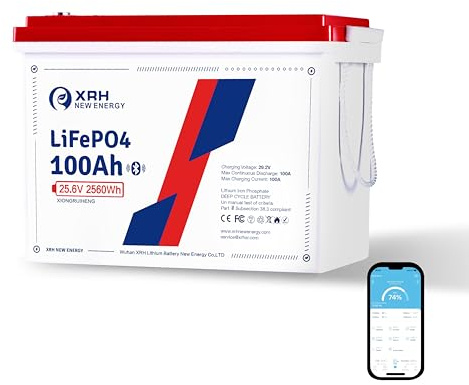 24V 100Ah LiFePO4 Lithium Batterie,2560W, integriertes BMS,Tiefzyklus Akku für Wohnmobil,Solar,Boot & Notstrom