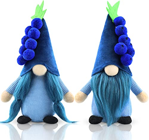 Gehydy Mirtilli Gnomi Primavera Set di 2 Decorazioni Pasqua Gnomo Peluche Home decor per Casa Cucine