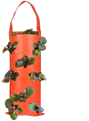 SPORTARC Pflanztasche zum Aufhängen von Tomaten, Erdbeeren, multifunktional, für Gemüse, Blumen, zum Aufhängen, umgedrehte Pflanzen, Pflanzbeutel (Orange, 10 Löcher)