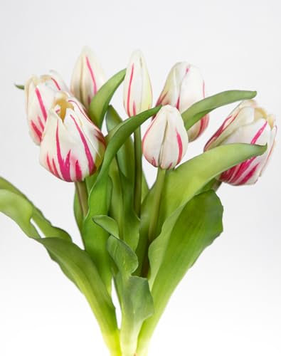 Tulpenbund Nature Real Touch 32x24cm mit 7 Blüten LM Kunstblumen künstliche Blumen Tulpen (Creme-Pink)