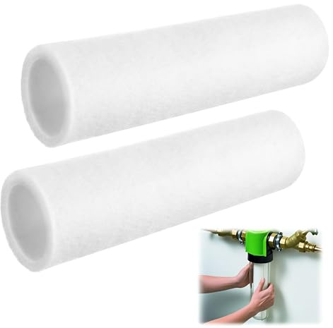Enhon Filtros de Repuesto (4 Unidades), Compatibles con Filtro de Agua Grünbeck FS 1, Cartuchos de Recambio para Filtro de Agua Doméstico, 80 µm, Sin Campana Protectora