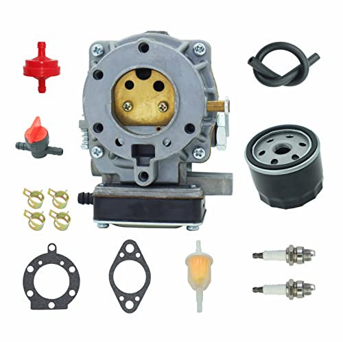 Carburatore 693480 per Briggs & Stratton con filtro olio 492056, sostituisce 917270821 694056 692815 693479 499306 495181 495026 491427