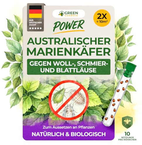 GREEN GUARDIA Cryptolaemus gegen Schmierläuse, Wollläuse & Blattläuse – 2 x 10 Nützlinge für ca. 10m² -Australischer Marienkäfer – Nützlinge für biologische Schädlingsbekämpfung an Pflanzen