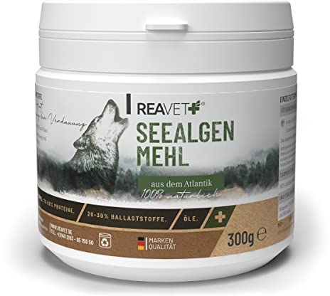 ReaVET Seealgenmehl Hund 300g - Barf Zusatz Mineralien, Rein & Pur, Seealgenmehl für Hunde barfen, Futterzusatz aus Seealgen Ascophyllum Nodosum