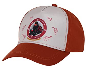 LEGO Harry Potter Cap Hogwarths Express LWAlex 319