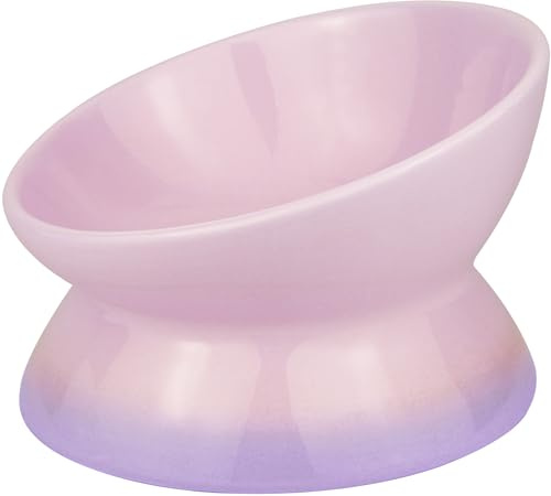 Busnos Katzennapf Erhöht Futternapf Katze Hund Fressnapf 15.5x15.5x11 cm Keramik Wassernapf Schöne Lila Katzennäpfe Trinknapf Cat Bowl Katzen und Kleiner Hund Zubehör Essen Teller Futterstation