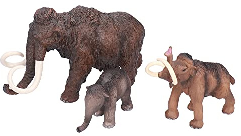 Zerodis Giocattoli Scientifici Ed Educativi Set di Figurine in PVC di Alta qualità Giocattolo Educativo Dipinto a Mano per Bambini Ideale per Regali di Natale e Decorazioni Modello di Giocattoli di