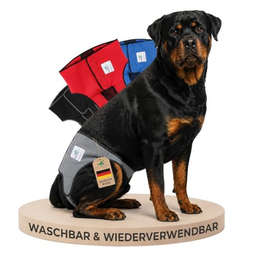 NATURE PET Premium Läufigkeitshose für Hündinnen – Hochwertige & Bequeme Hundewindeln für Hündinnen & Rüden – Waschbare Inkontinenz-Hundewindel ohne Einfädeln der Rute – L-L/Grau