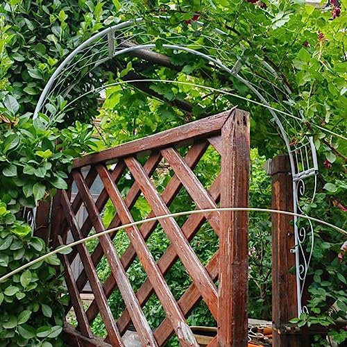 EMENAR Wandbogen Rosenbogen Rosenspalier Aus Metall Wetterfeste Rankbogen Gartenbogen Rankgitter Für Verschiedene Kletterpflanzen Gartendekoration Breite-100cm Weiße/Schwarz (Color : White)