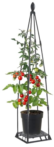 Estructura de Jardín para Plantas Trepadoras | Soportes Metálicos para Plantas de Interior | Soporte para Balcón Patio Maceta Jardín Rosas Y Vegetales