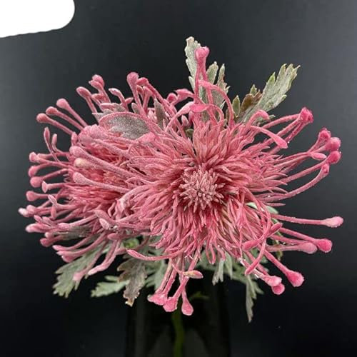 Nadelkissen Kunststoff Künstliche Blume Kurzer Zweig Wohnzimmer Dekoration Hochzeit