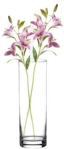 TRESV Jarrón de Flores de Cristal, Florero abombado de Vidrio, 26.5cm de Alto, Elegante y Sofisticado,Apto para lavavajillas (26.5 cm de Alto)