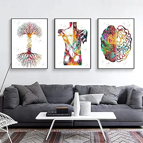 Stampa a forma di cuore ad acquerello, scheletro, su tela, poster con polmoni, anatomia cerebrale, medicina, decorazione da parete, clinica, medico, ufficio, tela, senza cornice, 40 × 50 cm × 3 pezzi