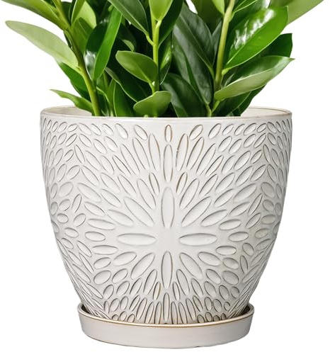 G EPGardening 25,4 cm Keramik-Pflanztopf mit Ablaufloch und Untersetzer, großer Blumentopf für Zimmerpflanzen, Outdoor, runder Blumentopf für Zuhause, Garten, Büro, Weiß