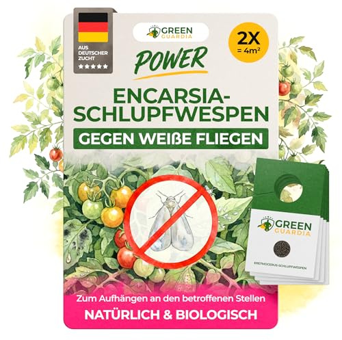 GREEN GUARDIA Encarsia Schlupfwespen gegen weiße Fliege – 2x Karten für 4m² - Natürlich weiße Fliegen bekämpfen, ideal für Innenräume & Gewächshaus, chemiefrei & sicher