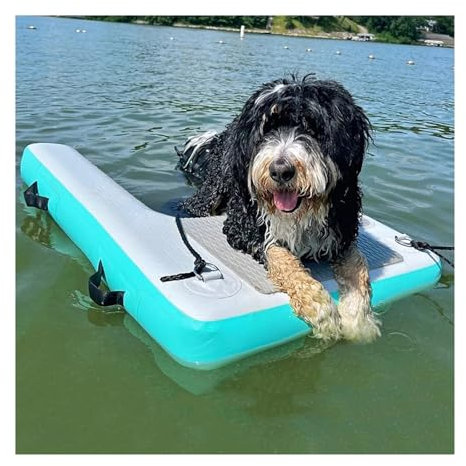 Hunderampe Aufblasbare Hunde Schwimmende Rampenleiter Für Hunde, Mintgrün – Schwimmende Welpenleiter Für Den Pool – Aufblasbare Hunde-Wasserrampe Für Strände/Jachthäfen/Seeufer/Yachten/Boote