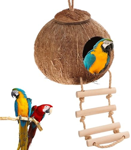 Mangeoire à oiseaux fabriquée à la main en noix de coco recyclée, mangeoire pour oiseaux de style échelle, nichoir résistant aux intempéries pour reptiles, petits oiseaux, amoureux des animaux et
