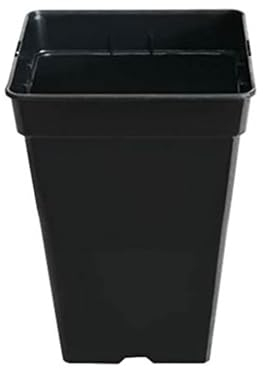 GROWMANIA Pack 10 Macetas Cuadradas para Plantas Negra 5,5L - Diez Maceteros Plástico para Flores 18x18x25 cm