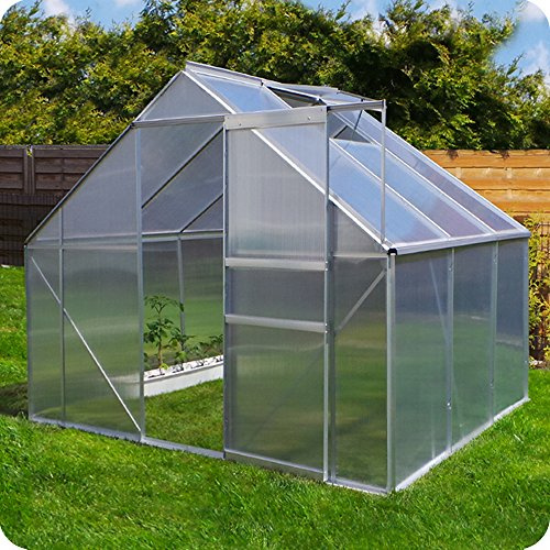 Aluminium Gewächshaus 250x190 cm - 4,75 m² mit Fundament - 6mm Verglasung, Silber, Garten Pflanzenhaus 7,58m³ Alu Treibhaus Tomatenhaus (250x190 - Silber)