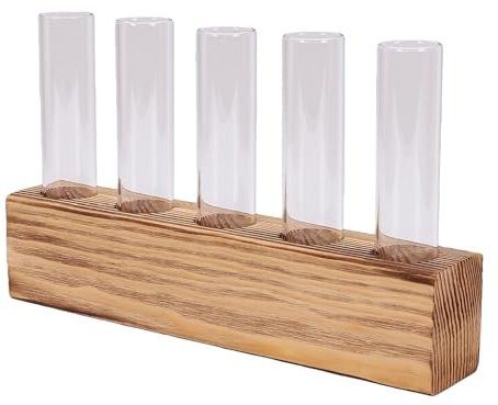Jenivaint Plant Propagation Station, Wooden Base Glass Test Tube Planter 6 Tube Propagation Vase for Indoor Cuttings Hydroponic Ivy Geranium (with Brush)