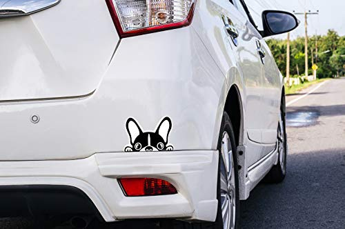 Oedim Pegatina Coche Perro Bulldog Frances 16x10cm | Adhesivo de Fácil Colocación | Pegatina para Coche Económica y Resistente