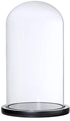 Sharplace Cloche en Verre avec Dôme et Socle en Bois 12x20 cm - Noir F