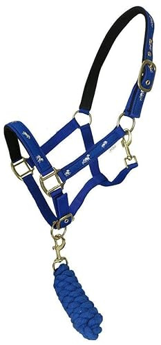 HORSE MASTER Horse Padded Headcollar Lead Rope - Comfortable Stylish Horse Printed Halter with Detachable Leadrope - Stable Yard Equipment for Pony Cob Full and Shetland, Royal Blue