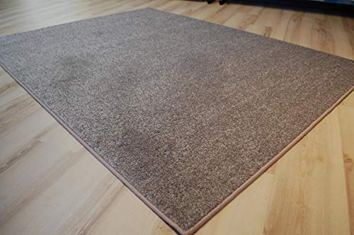 Miami Teppich Taupe beige Velours umkettelt - Verschiedene Größen (300 x 400 cm)