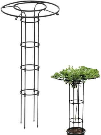 Xiixuuj Gartenspalier Für Kletterpflanzen, Rankhilfe Obelisk Metall, Rankhilfe Für Kletterpflanzen Im Freien Für Kletterpflanzen Pflanzen Rankhilfe Blumen Rosen Kletterhilfe Metall Regenschirm