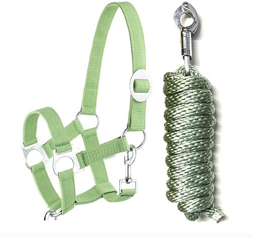 Halfter Führstrick Set mit Panikhaken verstellbar Pferdehalfter Pferd Holzpferd Anbindestrick (Panikhaken Grün, Pony)