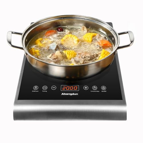 Abangdun Placa de Inducción Profesional 1 fuego 2000W, Placa Inducción Portátil Potente en Inox para Restauración, con 10 Niveles de Potencia (200-2000W), 60-240°C, Pantalla LED, Temporizador 18h