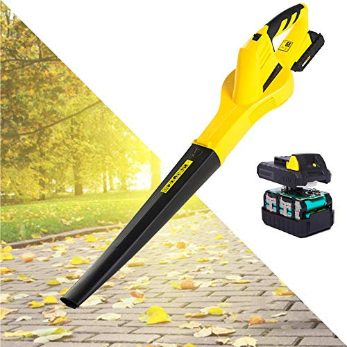OZBME Aspiradora y soplador de Hojas inalámbricos, Apto para jardín, Ordenadores, Color Negro
