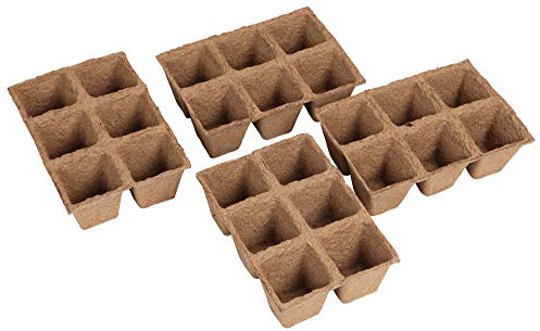 Anzuchttöpfe classic floraworld 6x6cm 4x6er Schalen / 24 Stück