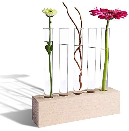 Tuuters Reagenzglas Vase aus Holz für Blumen, 5 Gläser mit Korken, Deko | Reagenzglashalter aus Buche: Schmale Reagenzgläser mit Ständer, Halterung für Glücksbambus, Pflanzen Stecklinge Anzucht