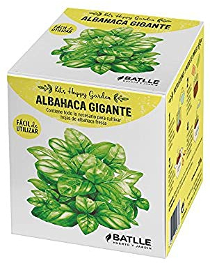 Semillas Batlle Kit HAPPY GARDEN - ALBAHACA GIGANTE