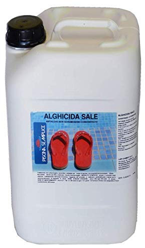 Piscina Semplice ALGHICIDA Sale in taniche da 25 kg
