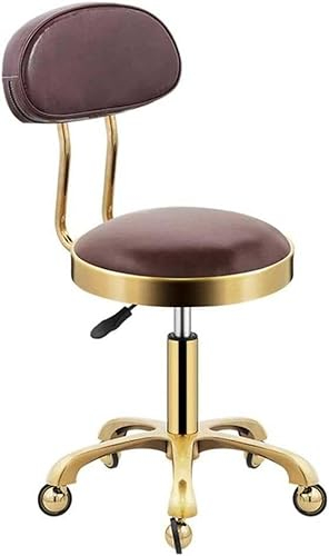QZQJUILU Rollhocker mit Rückenlehne – robuster hydraulischer Drehhocker auf Rollen für Salon, Massage, Klinik, Bar, Büro – bequemer Verstellbarer Stuhl mit Stange. Star of Light