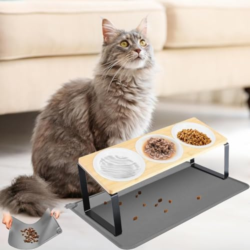 Katzennapf Erhöht, 3er Set Futterstation Katze aus Keramik mit 15° Gekippte & Anti-Rutsch Napfunterlage Silikon für Katzen und Kleine Hunde – 12 cm breite Keramikschale und Silikonmatte