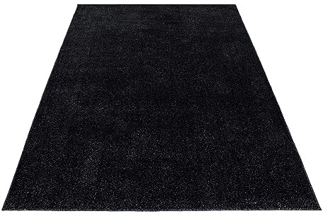 Stilvoll Günstig by ELMM Kurzflor Teppich Anthrazit 80 x 150 cm – Einfarbig, 11 mm, Polypropylen, Filzrücken, für Wohnzimmer & Schlafzimmer