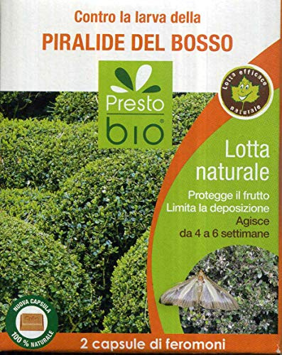 PRESTO BIO Trappola a ferormoni per la Cattura di Vari Insetti Completa con Due Capsule di ferormoni specifici (PIRALIDE del BOSSO)