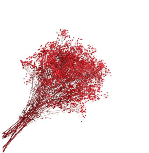 FUNOMOCYA romantische konservierte Wohnkultur das Weihnachts präsente Home Decor Dekor getrocknete Blumen künstlich schmücken Strauß rot