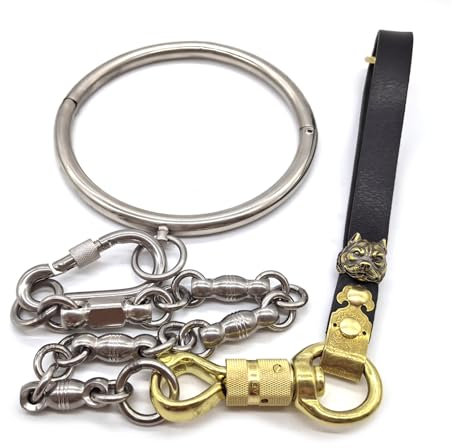 Soarvlorfy Metall O-Ring Hals Kragen Stahl Sex Halsband Sklave Abschließbare Collar Halsfessel SM Sex Spiele BDSM Bondage Sklave Erwachsenen Spielzeug mit Ketten Set für Mann Frau,Silber,Frauen
