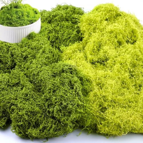 YAMAIDUO 200g Kunstmoos zum Dekorieren, Konserviert Künstliches Moos Deko, DIY Moos zum Basteln für Wand Krippe Aquarium Modellbau Basteln, Deko, Moosbild Basteln, 100g Dunkelgrün + 100g Hellgrün