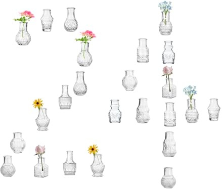 EylKoi Transparente Glas Bud Vase Niedlich Mini Vasen 24Pcs Blumen Vintage Kleines Glas Winzig in der Masse Verschiedene Form Modern Set Lovely für Dekor Tisch Hochzeit Home Tisch Dinning Party